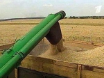 Путин создал крупнейшего экспортера зерна